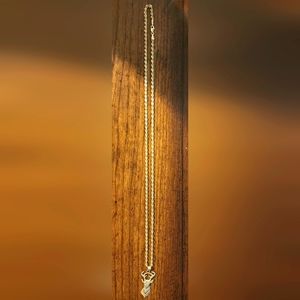 10k Gold Necklace and Pendant